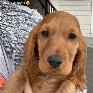 Meet your Posher, Lamar